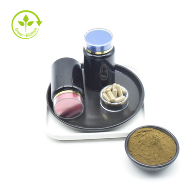 ISO গ্রেড Ajuga Turkestanica এক্সট্র্যাক্ট 20% Turkesterone পাউডার মূল্য