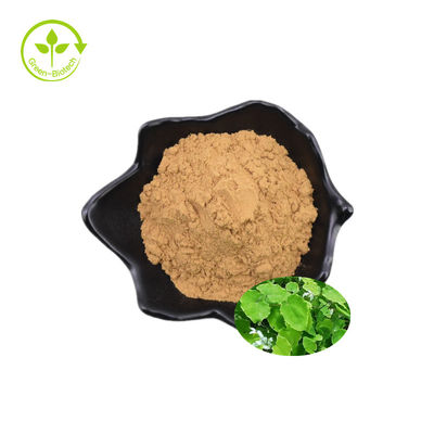 Hot Sale Epimedium Extract 100% Pure Horny Goat Extract Epimedium Extract Icariin 50% 60%