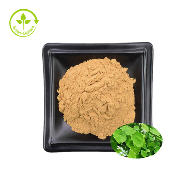 এপিমিডিয়াম এক্সট্র্যাক্ট 98% Icaritin মধু ছাগল আগাছা নির্যাস 98% Icaritin