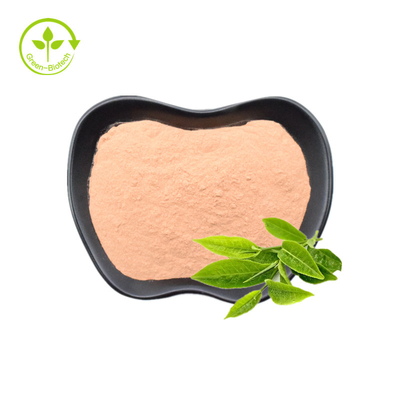 সবুজ চা নির্যাস 20% 30% প্রাকৃতিক এল-থেনাইন পাউডার