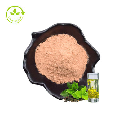 কারখানার পাইকারি গাছের পাতা স্বাস্থ্যকর 60% উচ্চ মানের প্রাকৃতিক সবুজ চা পাতা নিষ্কাশন ইনস্ট্যান্ট পাউডার