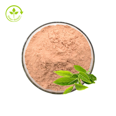 গ্রিন টি এক্সট্র্যাক্ট পলিফেনল 50% 98% গ্রিন টি এক্সট্র্যাক্ট পাউডার