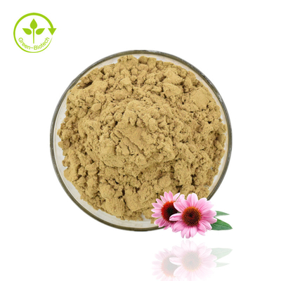 উচ্চ মানের Echinacea Extract পাউডার Echinacea Purpurea Extract 4% Polyphenol পাউডার
