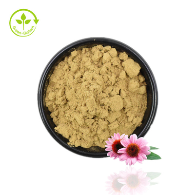 উচ্চ মানের Echinacea Extract পাউডার Echinacea Purpurea Extract 4% Polyphenol পাউডার