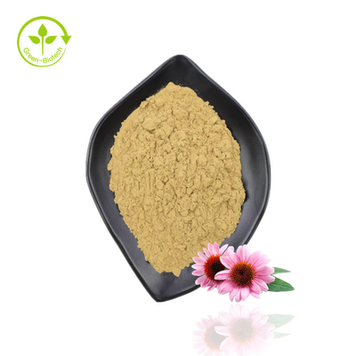 শীর্ষ মানের Echinacea নির্যাস Purpurea জৈব Echinacea নির্যাস পাউডার