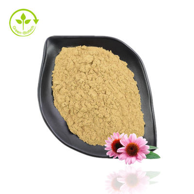 উচ্চ বিশুদ্ধতা Echinacea Purpurea Extract পাউডার 10%-40% Echinacoside