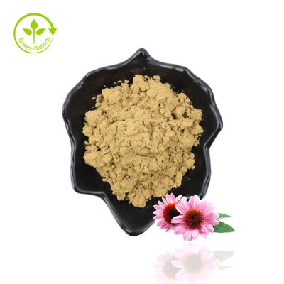প্রাকৃতিক Echinacea Purpurea Extract/ Echinacea Extract পাউডার