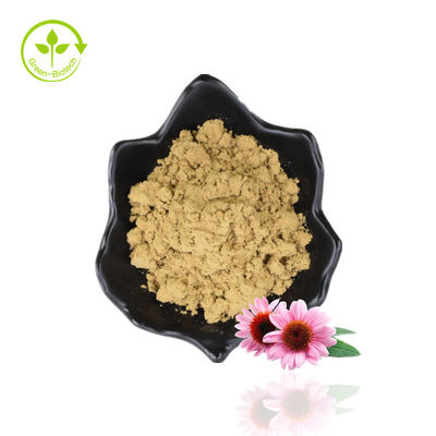 প্রাকৃতিক Echinacea Purpurea Extract/ Echinacea Extract পাউডার