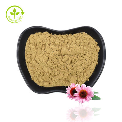 কারখানা সরবরাহ Echinacea পাউডার Echinacea Purpurea Extract Echinacea Extract উচ্চ মানের সঙ্গে