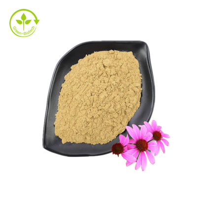 সরবরাহ ভাল গ্রেড Echinacea Purpurea নির্যাস স্বাস্থ্য পরিপূরক Echinacea Purpurea নির্যাস