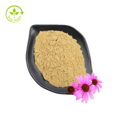 সরবরাহ ভাল গ্রেড Echinacea Purpurea নির্যাস স্বাস্থ্য পরিপূরক Echinacea Purpurea নির্যাস