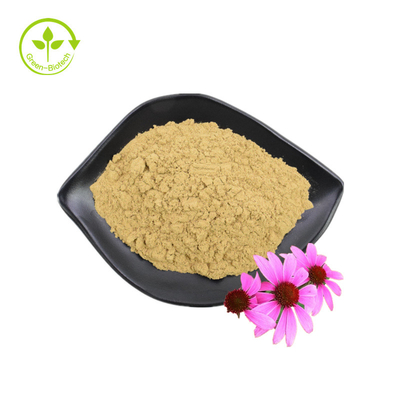 পাইকারি সরবরাহ 3% চিকোরিক অ্যাসিড Echinacea Purpurea Flower Extract Echinacea Purpurea Extract