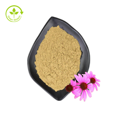 পাইকারি সরবরাহ 3% চিকোরিক অ্যাসিড Echinacea Purpurea Flower Extract Echinacea Purpurea Extract