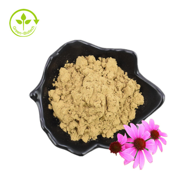 জৈব পলিফেনল শুকনো গুঁড়া ফুলের বীজ Echinacea Purpurea নির্যাস