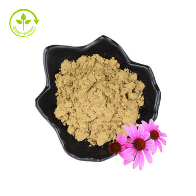 Echinacea Extract Purpurea Root Extract Echinacea Angustifolia Extract
