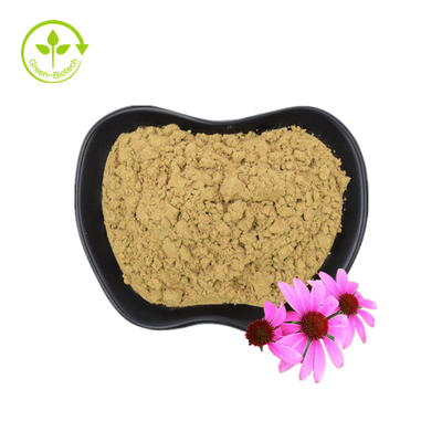 জৈবিক Echinacea Purpurea এক্সট্র্যাক্ট Echinacea Root Extract