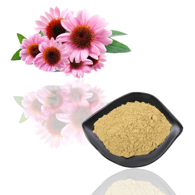 প্রাকৃতিক জৈব Echinacea Purpurea এক্সট্র্যাক্ট পলিফেনল 2% - 4% সিকোরিক অ্যাসিড 2% - 5%