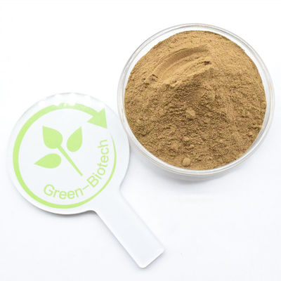 উচ্চ মানের বাল্ক বিশুদ্ধ প্রাকৃতিক ডেনড্রোবিয়াম এক্সট্র্যাক্ট ডেনড্রোবিন পাউডার