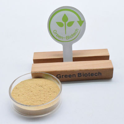 বিশুদ্ধ সায়ানোটিস আর্কনিওডিয় রুট এক্সট্র্যাক্ট ইকডিস্টেরন 98% বিটা ইকডিস্টেরন পাউডার