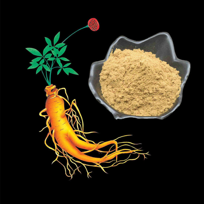 80 মেশ জিনসেং রুট এক্সট্র্যাক্ট পাউডার 1%-80% প্রাকৃতিক উদ্ভিদের নির্যাস